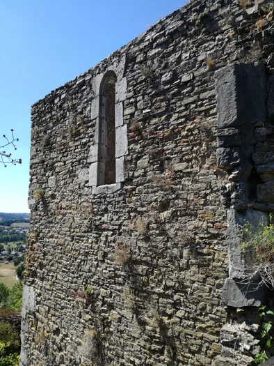 Ruine du chateau Franchimont (Belgique)